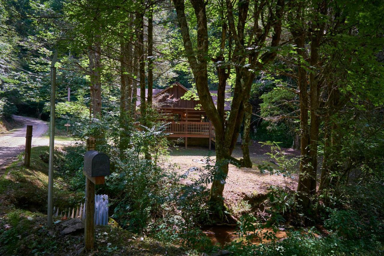 A Cabin In The Woods Pigeon Forge Buitenkant foto