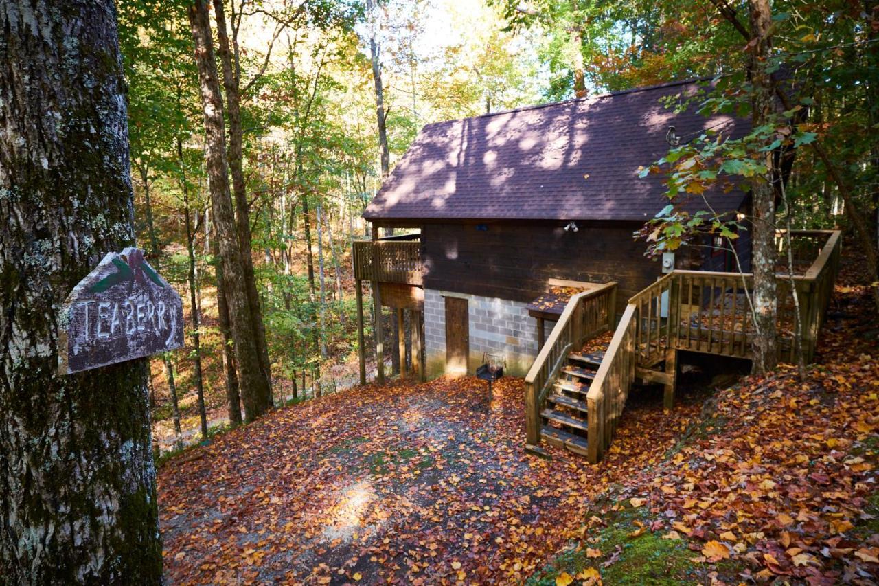 A Cabin In The Woods Pigeon Forge Buitenkant foto